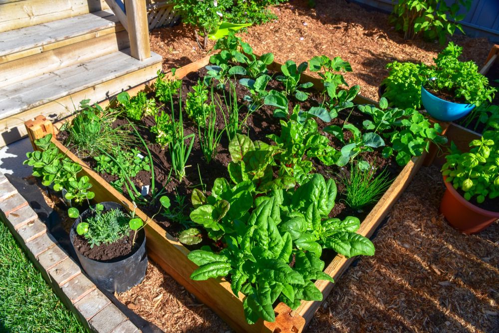 11 Organic Gardening Practices